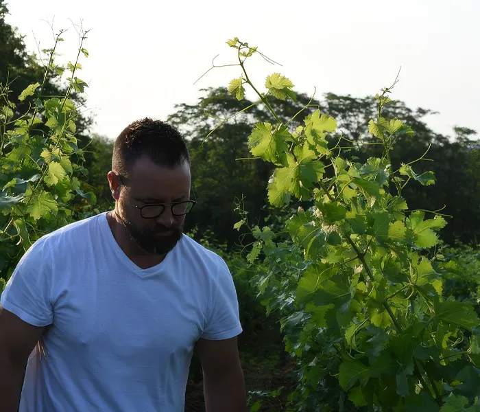 Carrossel Produtores - Les Poete 03