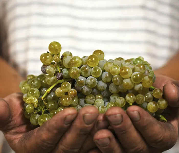 Carrossel Produtores - Les Poete 04