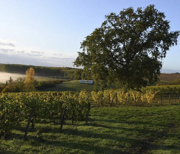 Carrossel Produtores - Les Poete 05