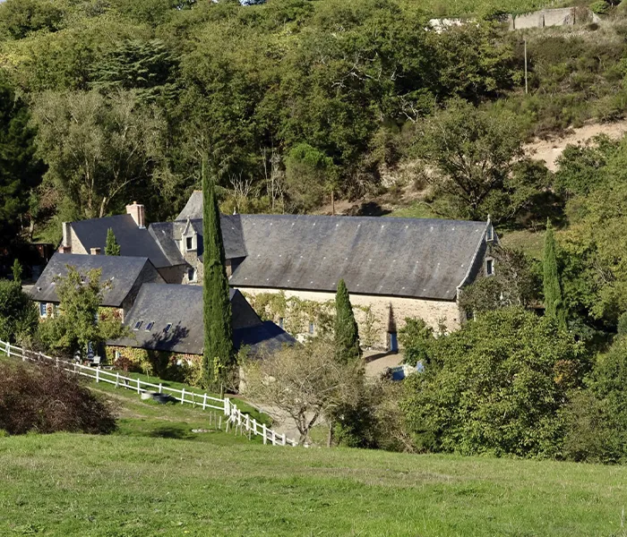 Carrossel Produtores - Nicolas Joly 02