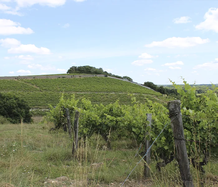 Carrossel Produtores - Nicolas Joly 04