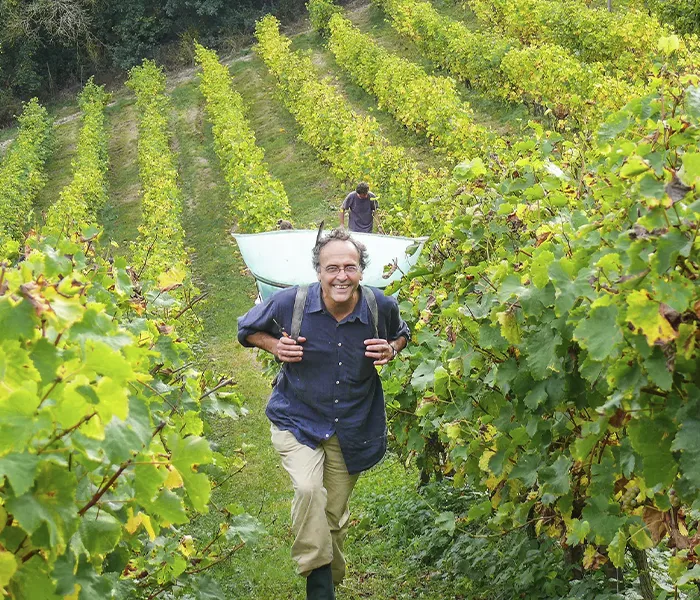 Carrossel Produtores - Nicolas Joly 05