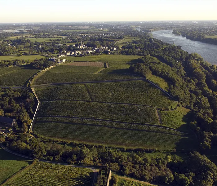 Carrossel Produtores - Nicolas Joly 06