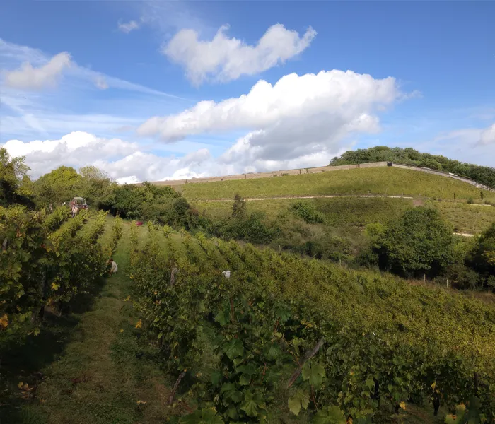 Carrossel Produtores - Nicolas Joly 08