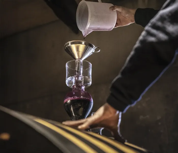 Carrossel Produtores - Palmer 02