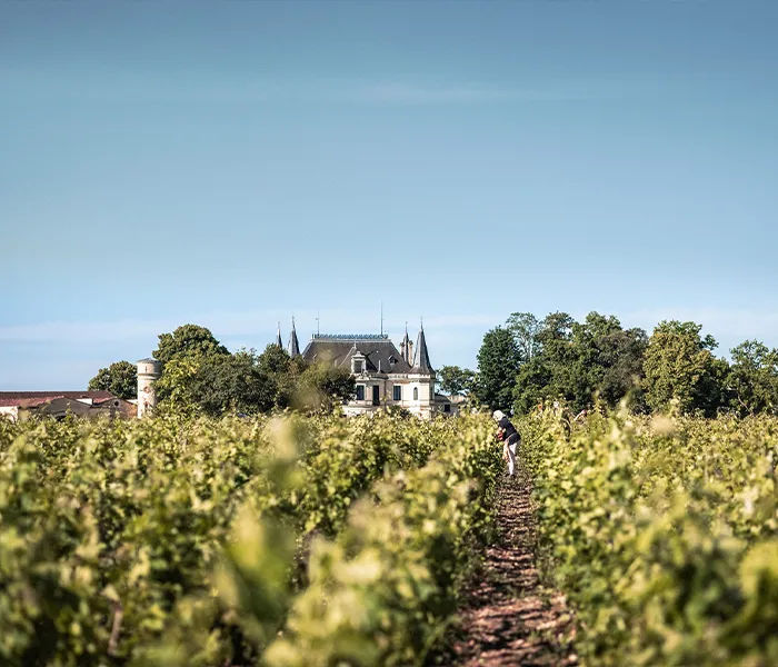 Carrossel Produtores - Palmer 04