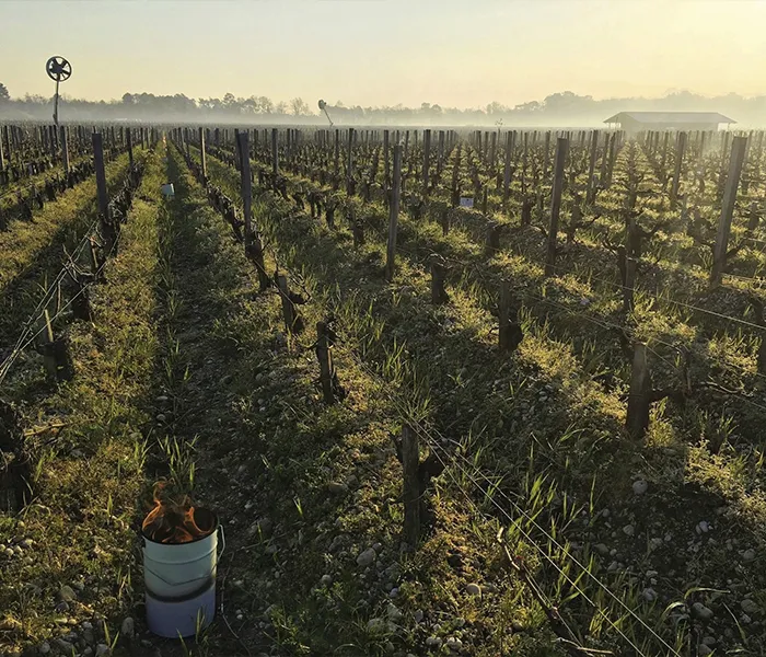 Carrossel Produtores - Palmer 06