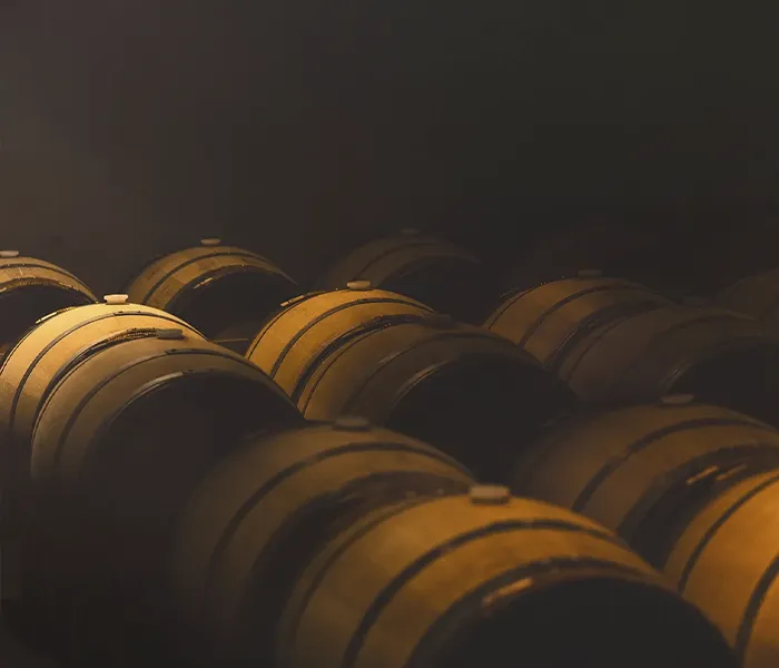 Carrossel Produtores - Palmer 09