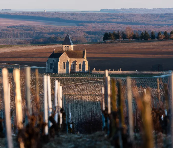 Carrossel Produtores - Pattes Loup 02