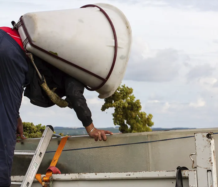 Carrossel Produtores - Pattes Loup 05