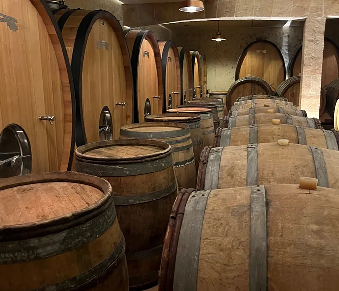 Carrossel Produtores - Pattes Loup 06