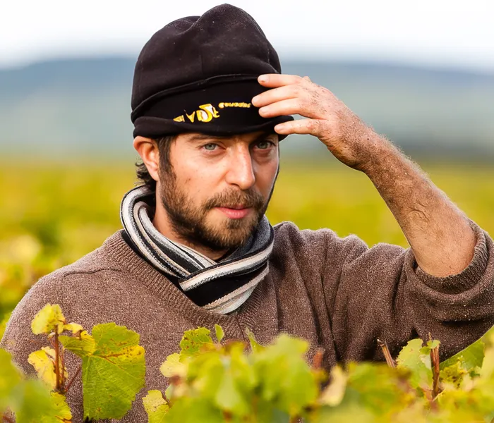 Carrossel Produtores - Pattes Loup 07