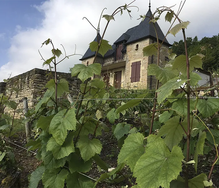 Carrossel Produtores - Ponsot 01