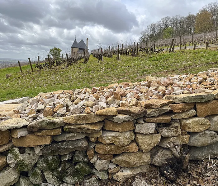 Carrossel Produtores - Ponsot 03