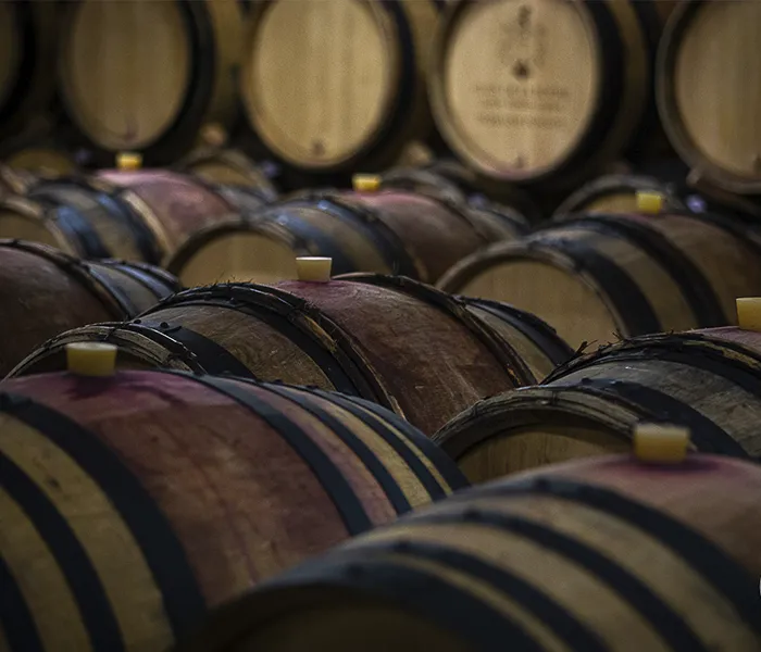 Carrossel Produtores - Ponsot 04