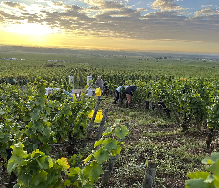 Carrossel Produtores - Ponsot 05