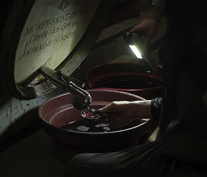 Carrossel Produtores - Ponsot 06