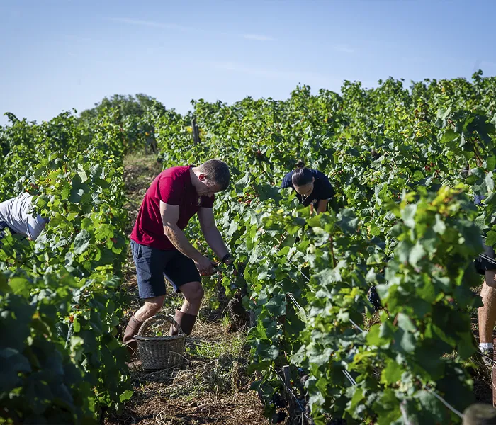 Carrossel Produtores - Ponsot 08