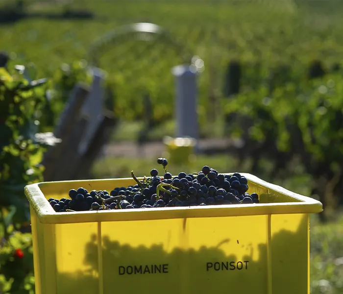 Carrossel Produtores - Ponsot 09