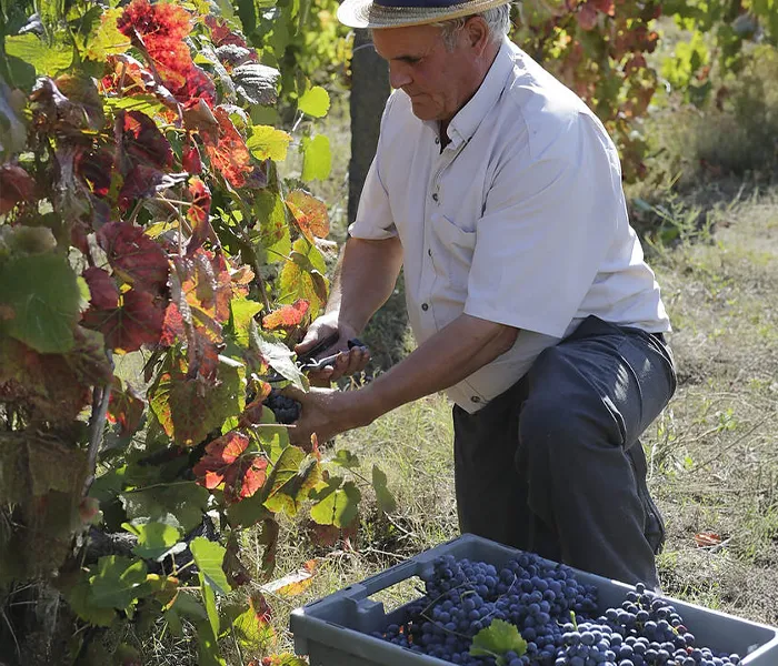 Carrossel Produtores - Quinta do Fojo 07