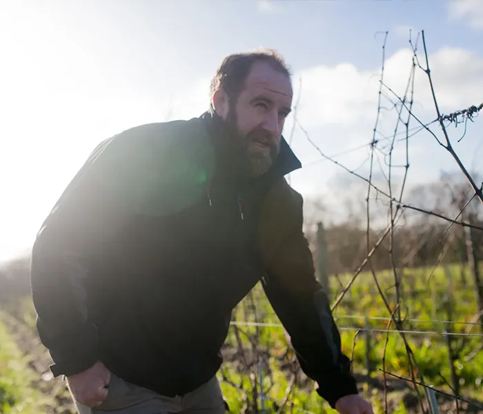 Carrossel Produtores - Thibaud Boudignon 02