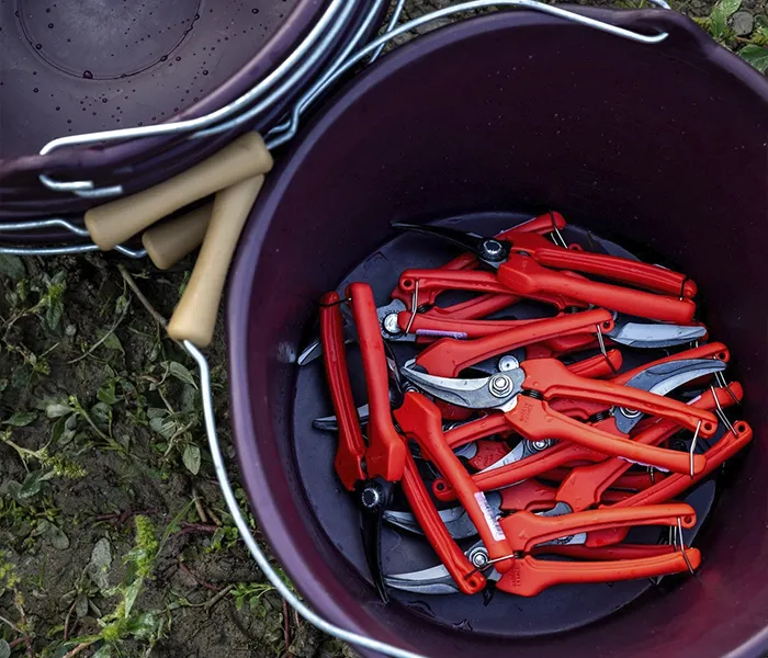 Carrossel Produtores - Thibaud Boudignon 05