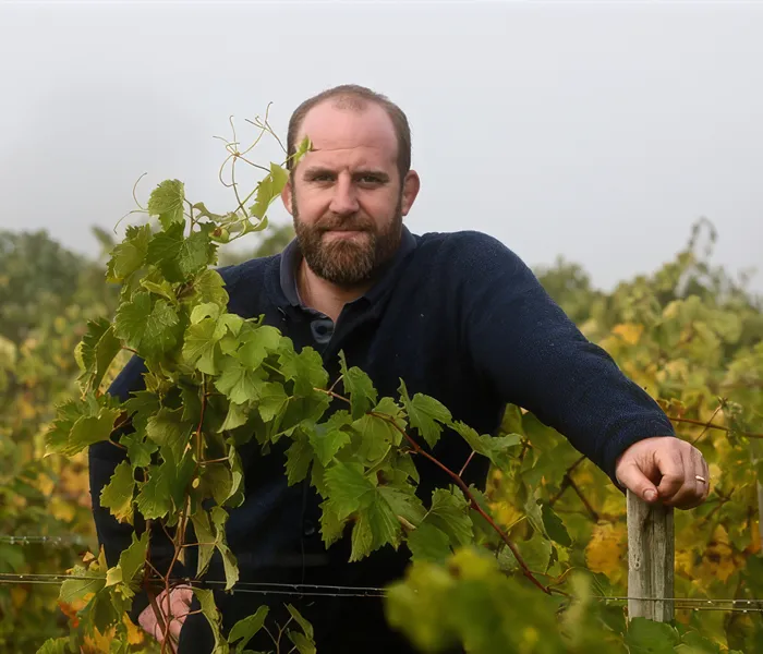 Carrossel Produtores - Thibaud Boudignon 06