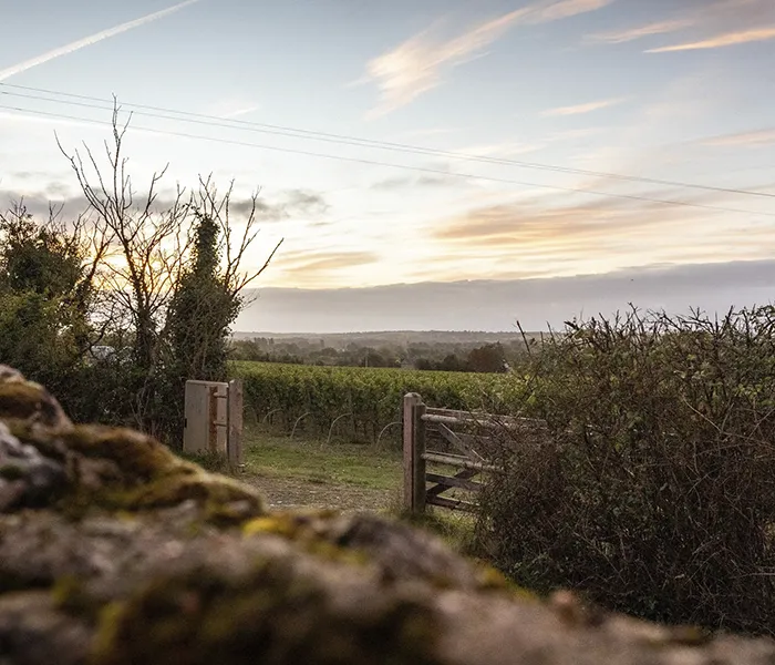 Carrossel Produtores - Thibaud Boudignon 07