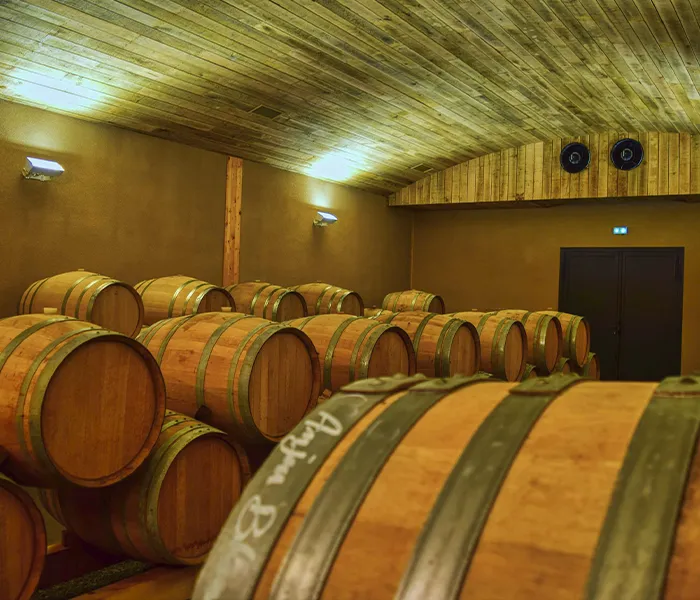 Carrossel Produtores - Thibaud Boudignon 09