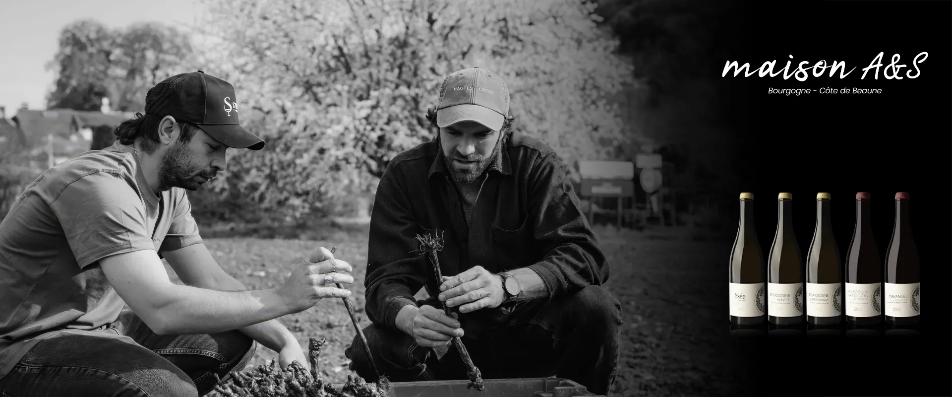 Carrossel Campanha - Maison A&S copiar
