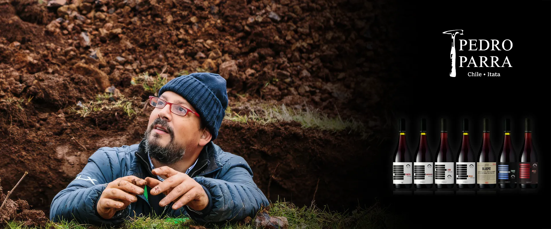 Carrossel Campanha - Pedro Parra y Familia