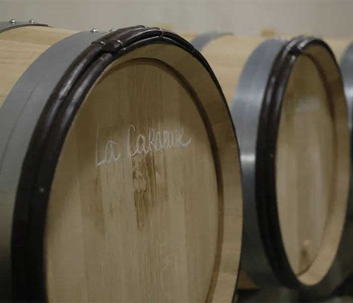 Carrossel Produtores - Benoit Moreau 01