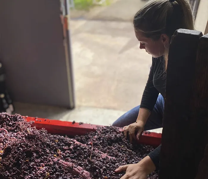 Carrossel Produtores - Camille Thiriet 09