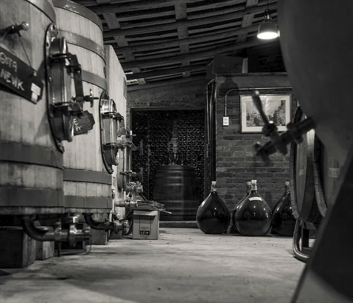 Carrossel Produtores - Pedro Parra y Familia 03