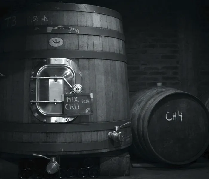 Carrossel Produtores - Pedro Parra y Familia 04