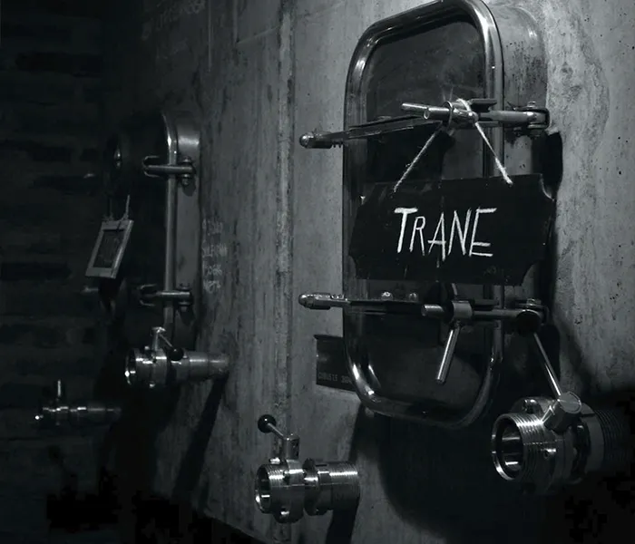 Carrossel Produtores - Pedro Parra y Familia 06