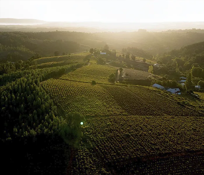 Carrossel Produtores - Pedro Parra y Familia 07
