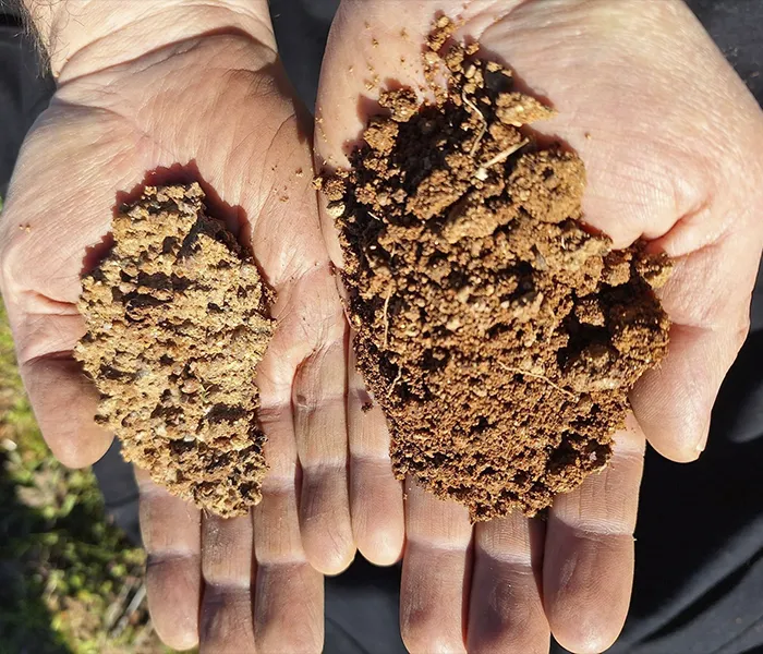 Carrossel Produtores - Pedro Parra y Familia 09