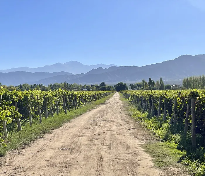 Carrossel Produtores - Tiano & Nareno 02