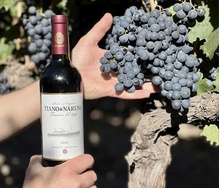 Carrossel Produtores - Tiano & Nareno 03