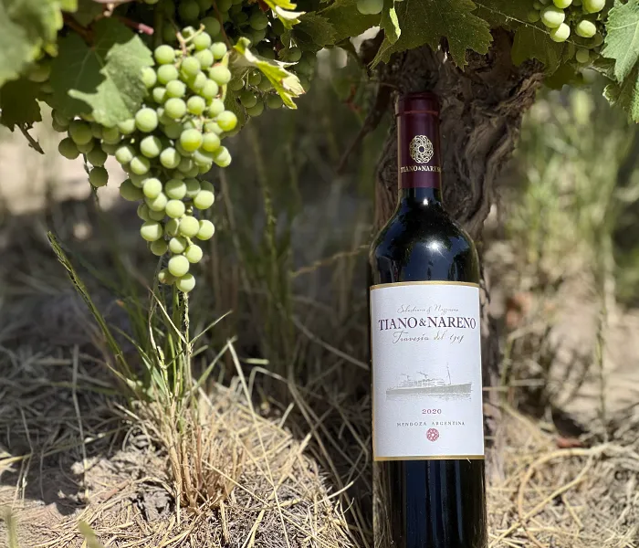 Carrossel Produtores - Tiano & Nareno 05