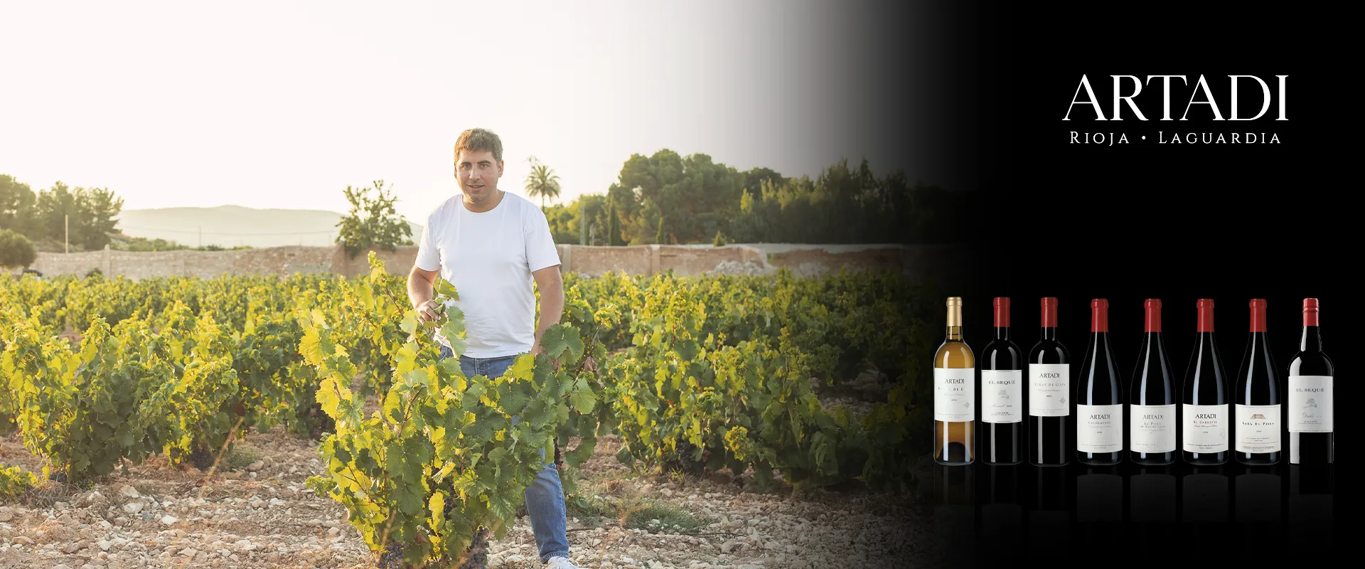 Carrossel Campanha - Artadi