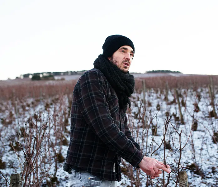 Carrossel Produtores - Cédric Bouchard 05