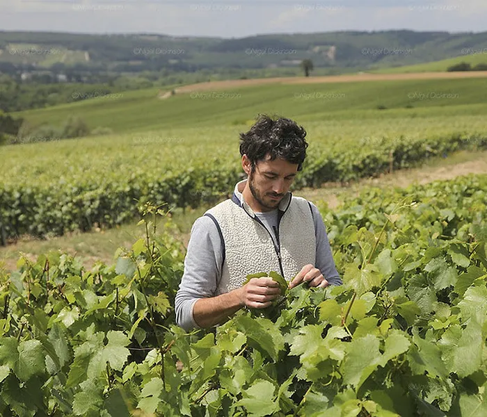 Carrossel Produtores - Cédric Bouchard 06