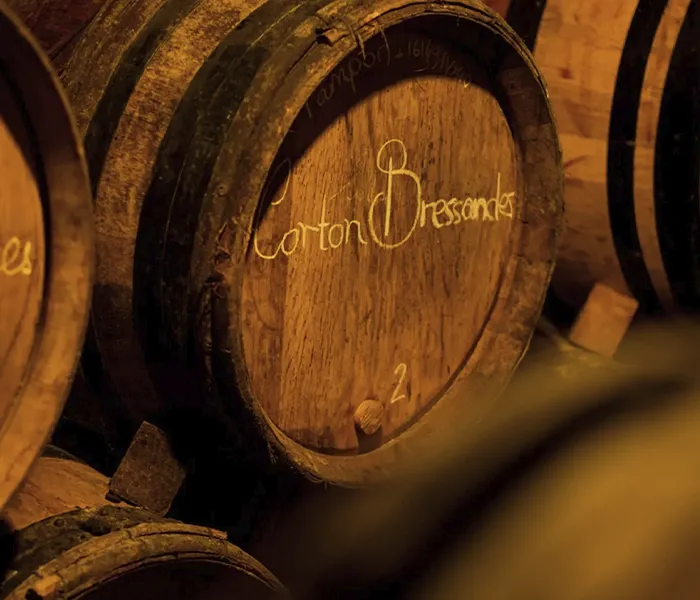 Carrossel Produtores - Chandon de Briailles 05