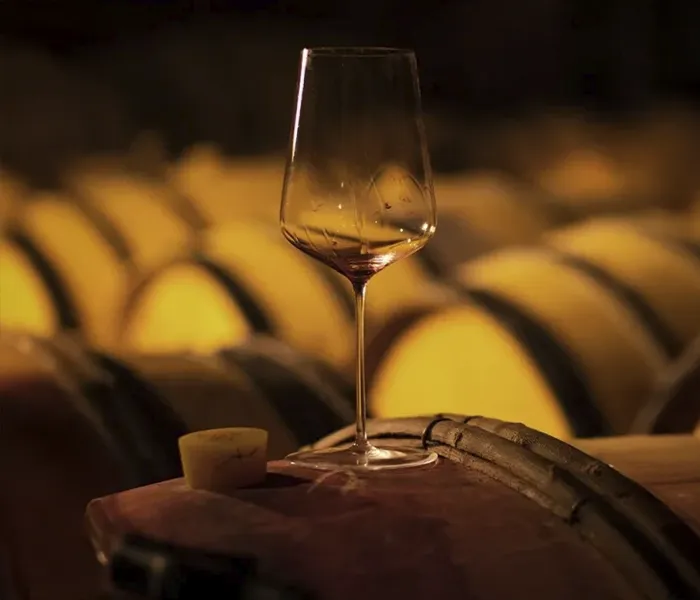 Carrossel Produtores - Chandon de Briailles 07