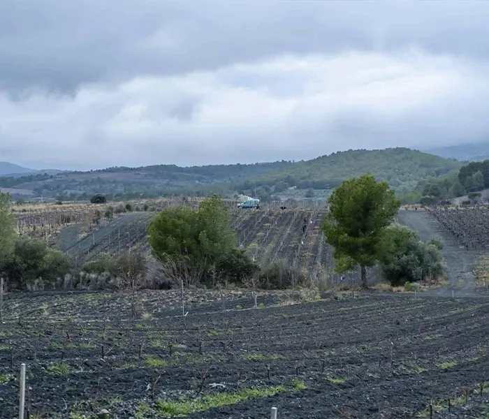 Carrossel Produtores - Danjou-Banessy 03
