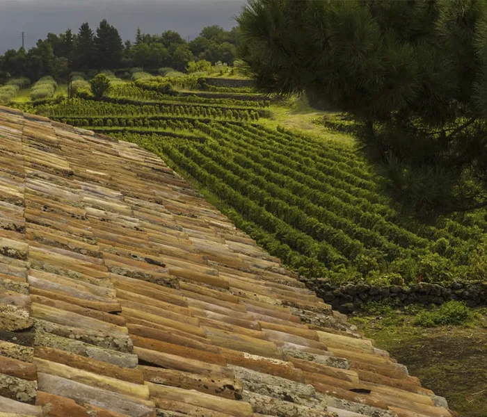 Carrossel Produtores - Girolamo Russo 06