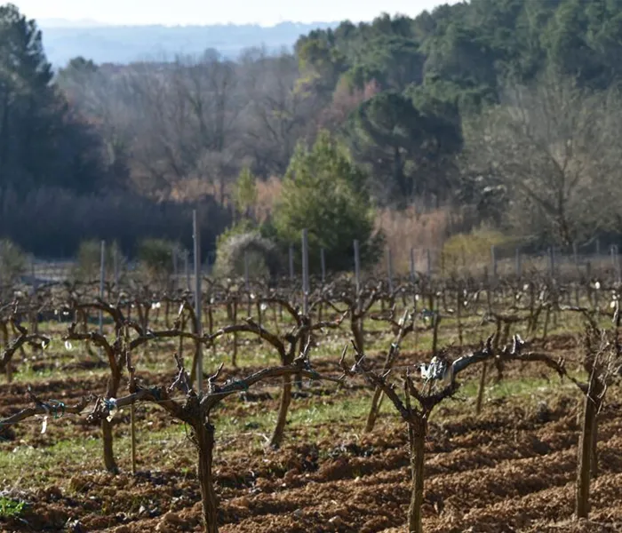 Carrossel Produtores - La Cras - Marc Soyard 09