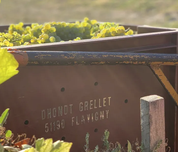 Carrossel Produtores - Dhondt-Grellet 02